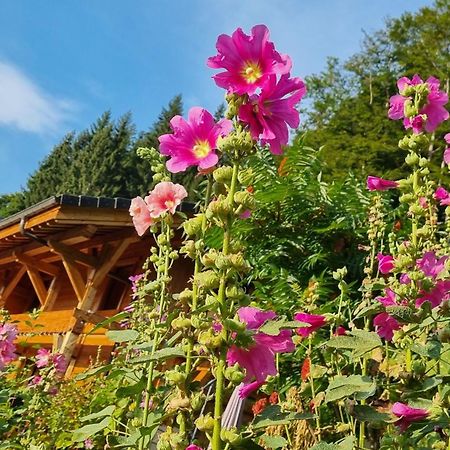 Chalet Arpitan - Les Carroz - Grand Massif エクステリア 写真