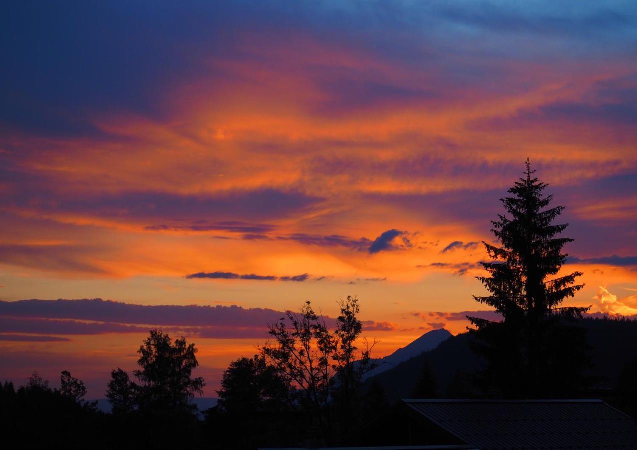 Chalet Arpitan - Les Carroz - Grand Massif エクステリア 写真