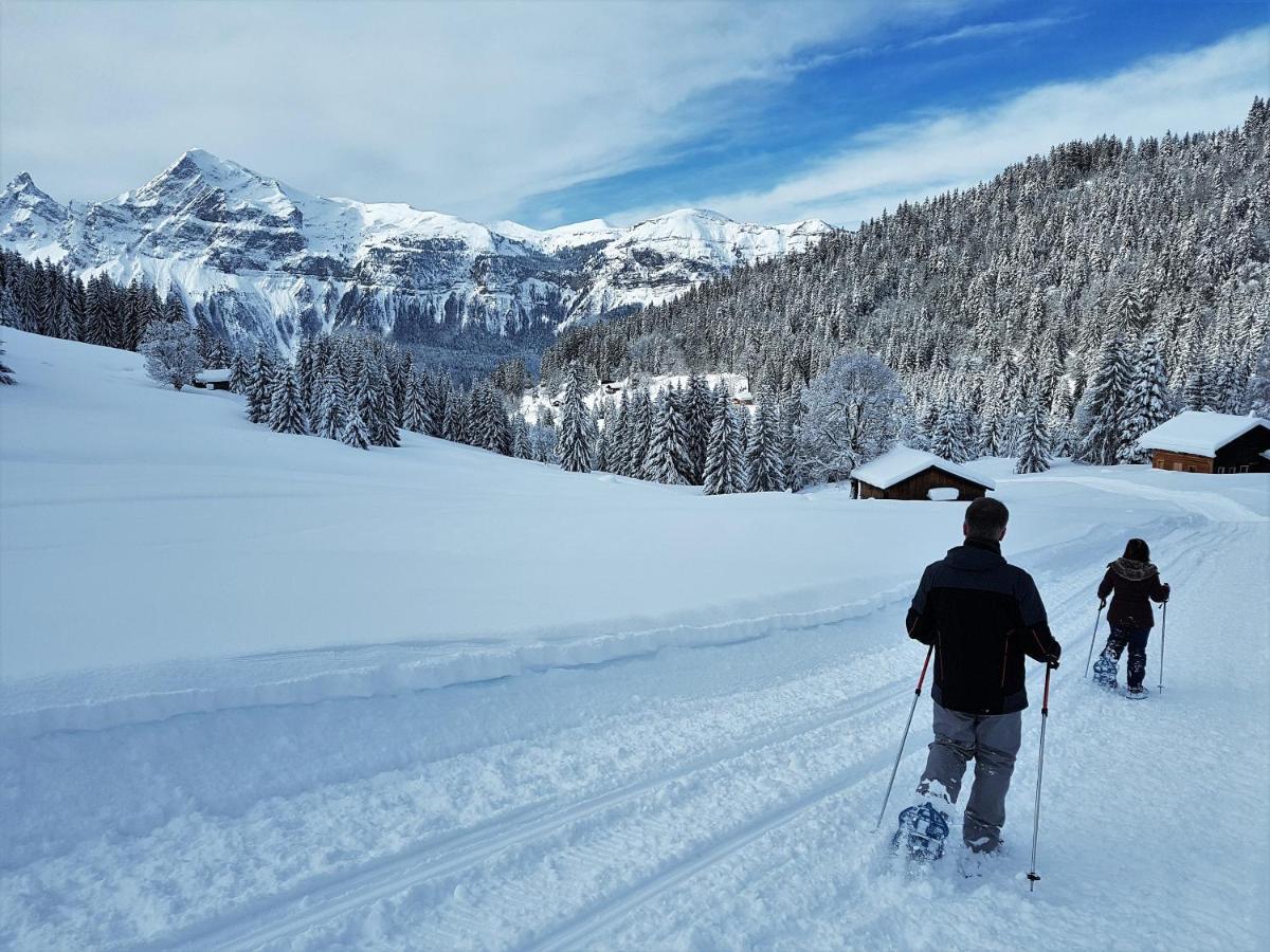 Chalet Arpitan - Les Carroz - Grand Massif エクステリア 写真