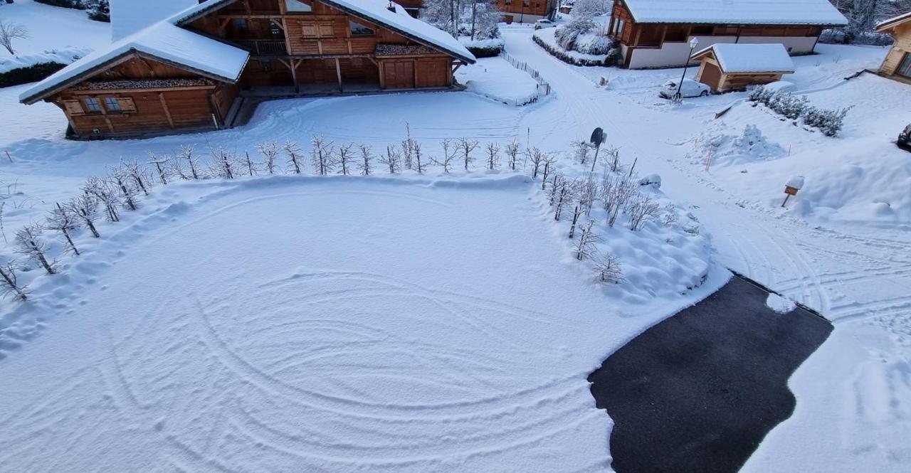 Chalet Arpitan - Les Carroz - Grand Massif エクステリア 写真