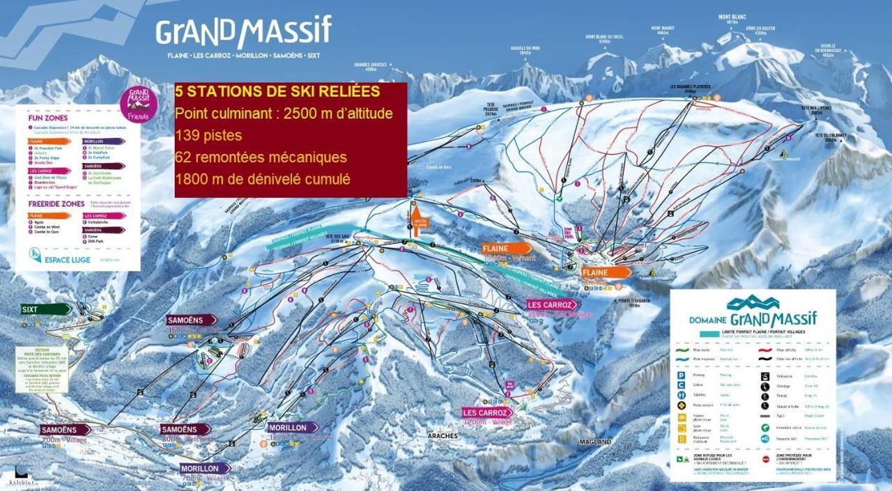Chalet Arpitan - Les Carroz - Grand Massif エクステリア 写真