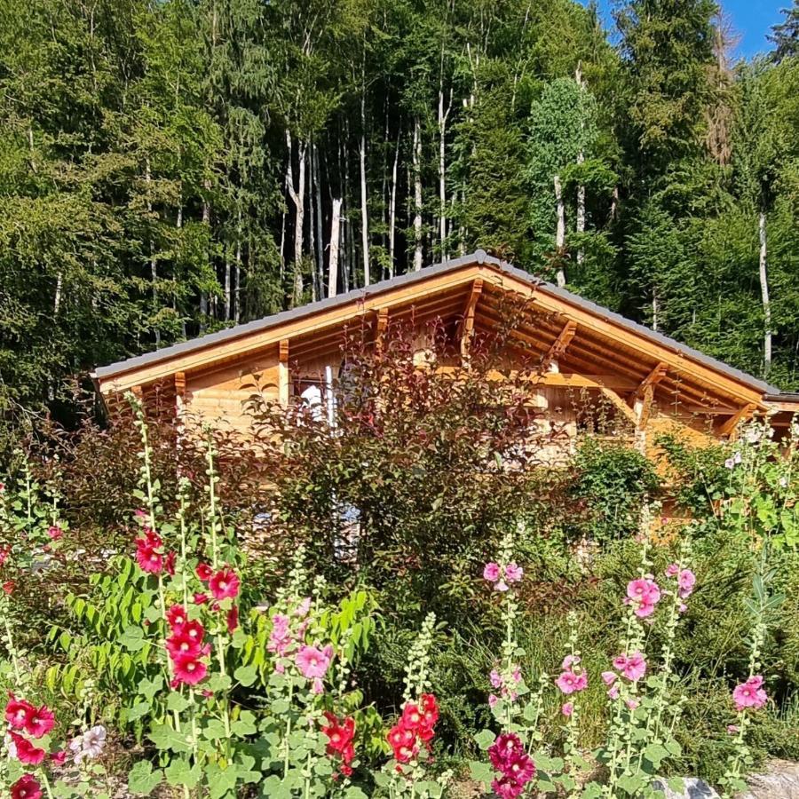 Chalet Arpitan - Les Carroz - Grand Massif エクステリア 写真