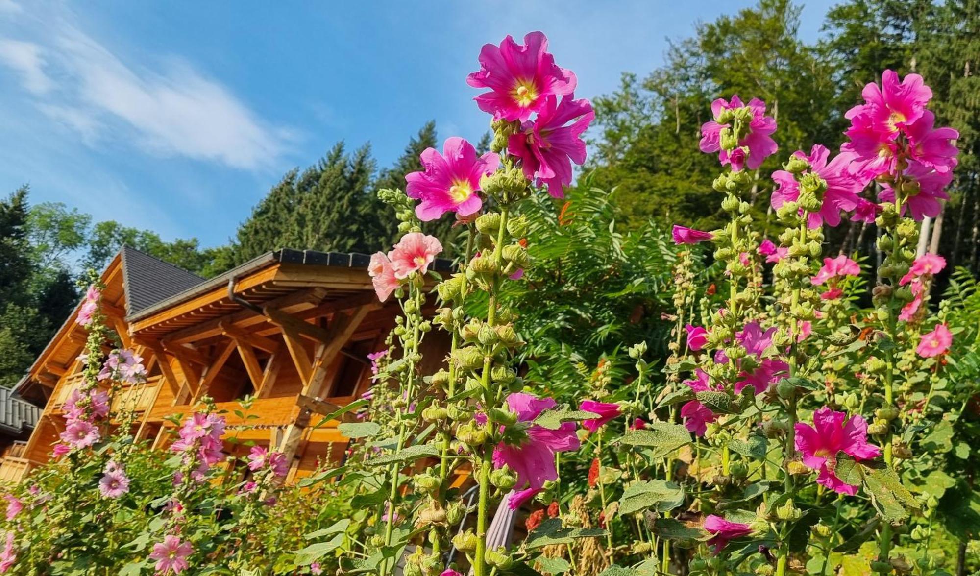 Chalet Arpitan - Les Carroz - Grand Massif エクステリア 写真
